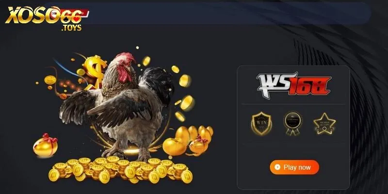 Trang chủ 30 Sản phẩm đá gà Xoso66